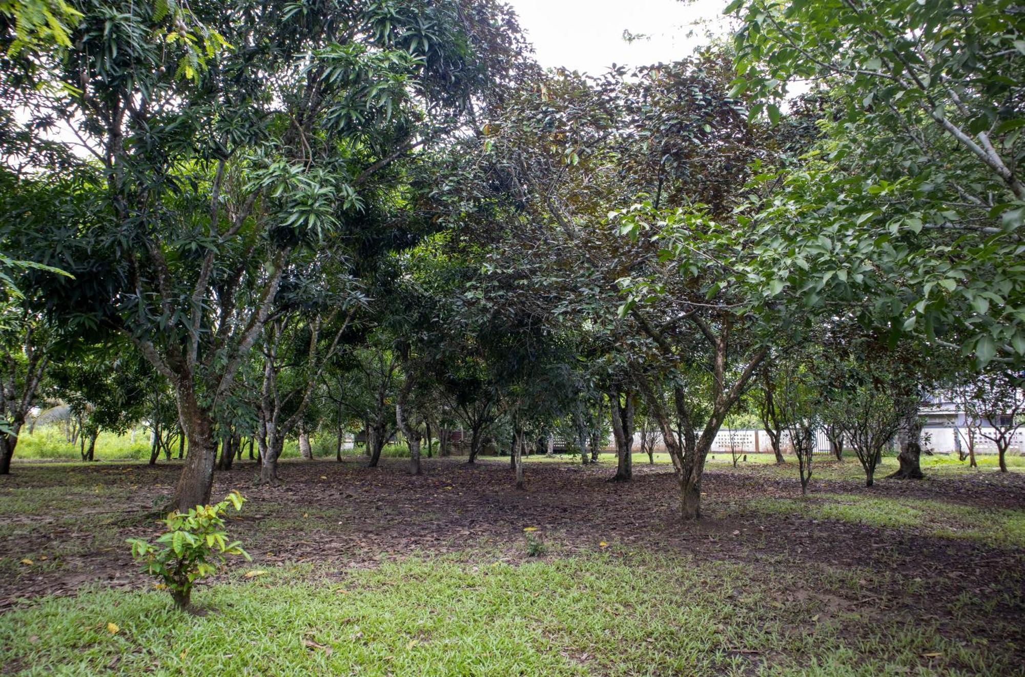 Sabajo Appartement Verhuur Paramaribo Dış mekan fotoğraf