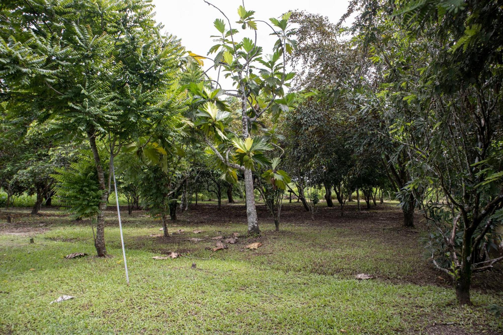 Sabajo Appartement Verhuur Paramaribo Dış mekan fotoğraf